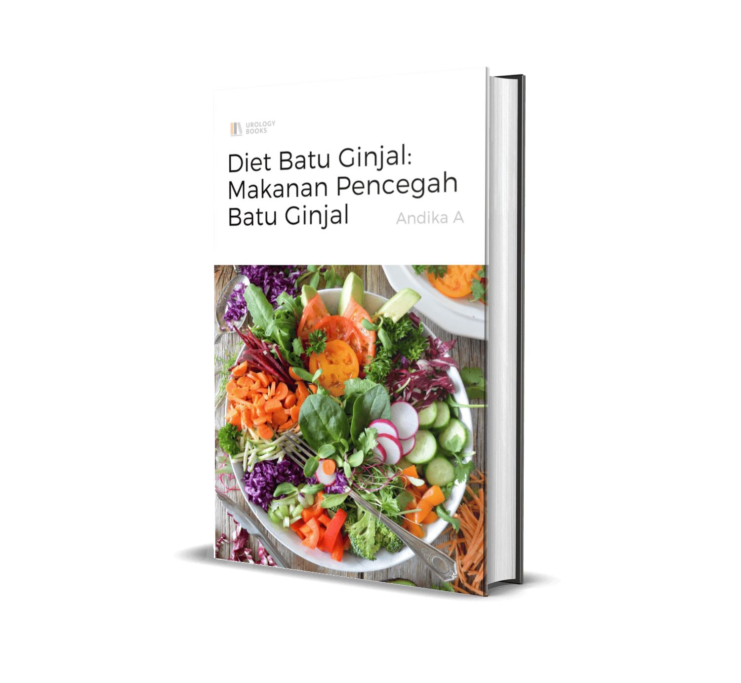 ebook diet batu ginjal makanan pencegah batu ginjal